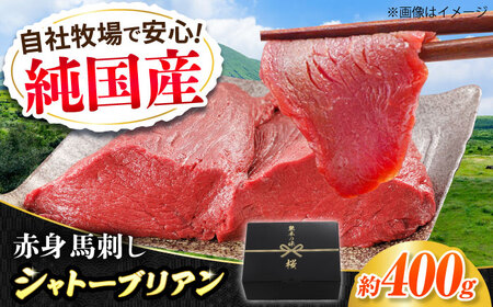 『純国産』熊本の味 赤身 馬刺し シャトーブリアン 計約400g（約200g×2パック）チルド 冷蔵 ブロック  馬刺し[AYCN058]