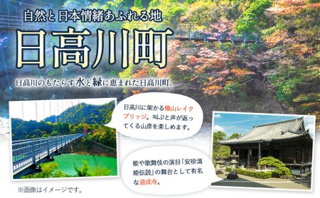 日高川町内の観光施設で利用できる「利用券」9000円(500円券×18枚) 観光
