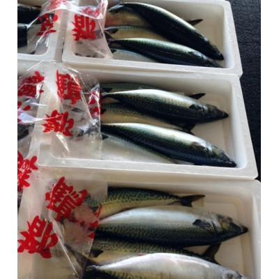 ふるさと納税 小浜市 日本遺産プレミアム認定・鯖街道の焼きたての美味しさ瞬間凍結。脂ののった姿のまま豪快に焼き上げました。 |  | 02