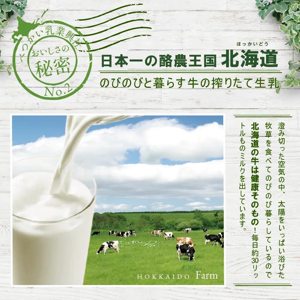 ひと味 違う 別海町 の 牛乳 ♪ たっぷり 6リットル ＜緊急支援品＞北海道産 べつかいの 牛乳屋さん 牛乳 1L × 6本入（M-21） ふるさと納税 緊急支援（ 牛乳 北海道産牛乳 道産牛乳 北