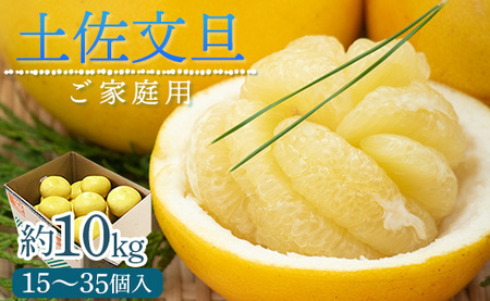 訳あり 土佐文旦 家庭用 約10kg『2026年1月下旬より順次配送』【文旦 文旦 文旦 文旦 文旦】 ku-0047