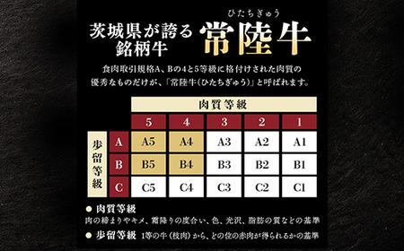 生ハンバーグ120g×6個 常陸牛 100％ 512