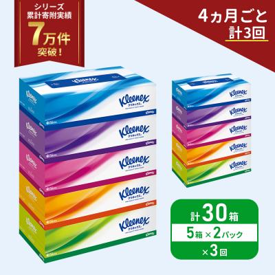 ふるさと納税 岩沼市 定期便 ティッシュ クリネックス ティシュー 5箱入×2P《計3回》[No.5704-1040]