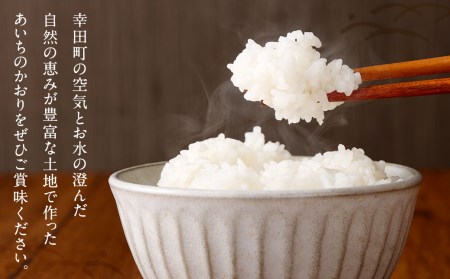 幸田町産「栄養週期栽培米」あいちのかおり 10kg 白米 精米 お米 米 ご飯