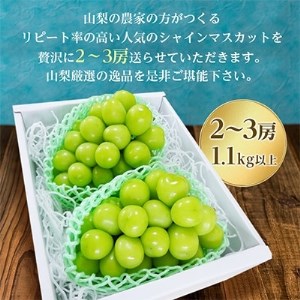 【2024年度先行受付】大人気!山梨のシャインマスカット2～3房　1.1kg以上 ふるさと納税【配送不可地域：離島】【1274436】