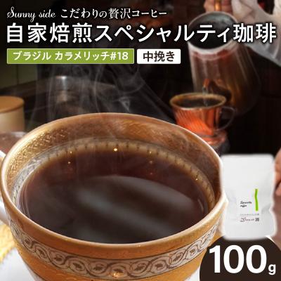 ふるさと納税 小牧市 自家焙煎スペシャルティ珈琲 ブラジル カラメリッチ#18(100g/中挽き)[137S15-02]