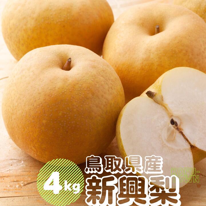 【ふるさと納税】新興梨 約4kg 5～16玉前後 先行予約受付 2026年秋冬収穫分 鳥取県産 ナシ 4キロ しんこうなし TM39 0694
