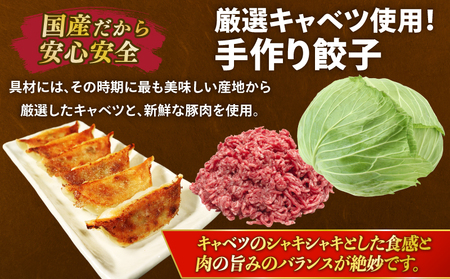 冷凍餃子 50個 10個 × 5パック 餃子