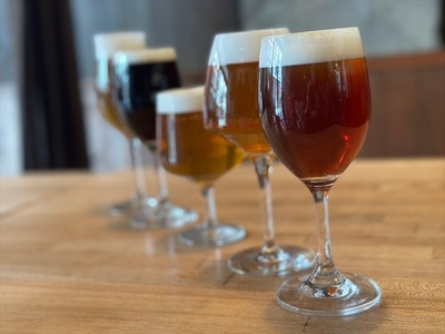 【3回発送　4ヵ月毎】fete三島醸造所おすすめクラフトビール＆フルーツスパークリング12本セットの3回発送【 ビール お酒 静岡県 三島市 】