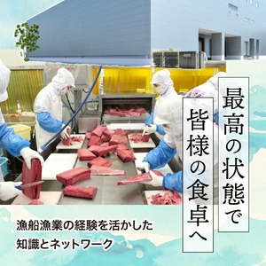 ネギトロ 500g ねぎとろネギトロ ネギトロ ネギトロ