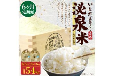【定期便 6ヶ月連続】いとだ泌泉米 9kg(白米 4.5kg×2)