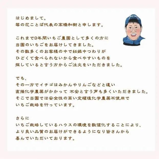 【先行予約】越後姫 いちご 雪国完熟 約170g×6P 越後姫 フルーツ