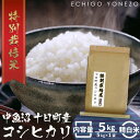 【ふるさと納税】中魚沼 十日町産 コシヒカリ 特別栽培米 5kg 昭和レトロ ギフト　 米 お米 おこめ こめ 精米 白米 こしひかり 新潟