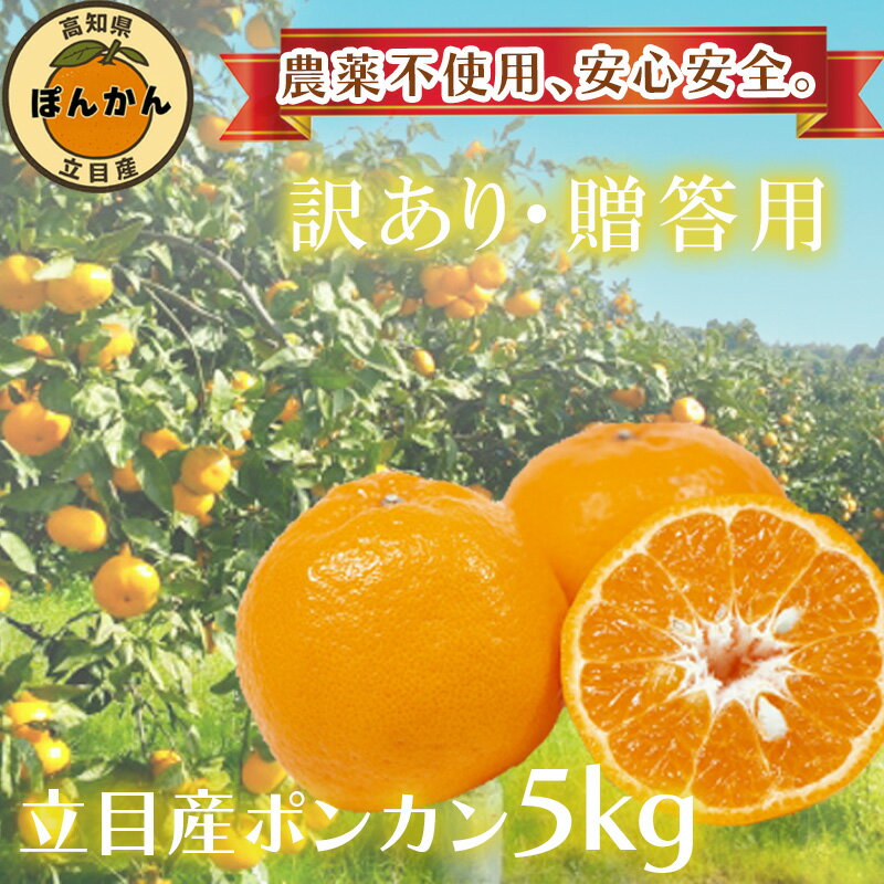【ふるさと納税】 早期予約開始 1月下旬より順次発送 訳あり 秀品 ぽんかん 立目産 5kg サイズ混合 柑橘 みかん 蜜柑 贈答用 家庭用 高知県 須崎市 フルーツ 果物 ふるさと納税 ふるさと納税 ぽんかん