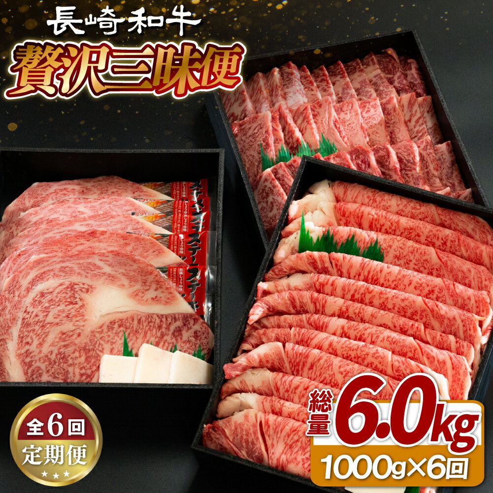 【ふるさと納税】《定期便》長崎和牛月替わりバラエティー【6回お届け】