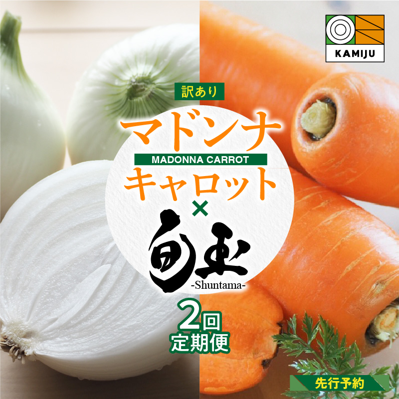 訳あり にんじん 新玉ねぎ 定期便 2回　旬の美味しい季節にお届け マドンナキャロット 旬玉　H105-131