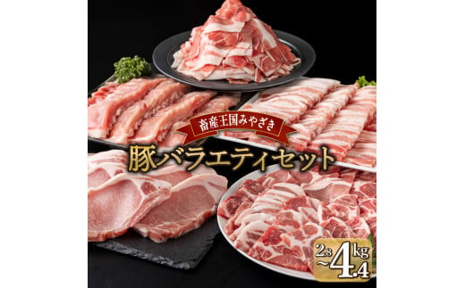 MCBYS28 宮崎県産豚 バラエティセット（合計2.8kg）