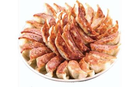 【4ヶ月定期便】ゆきむら壱番亭のニンニクにら餃子6パック(96個入り) ※離島への配送不可