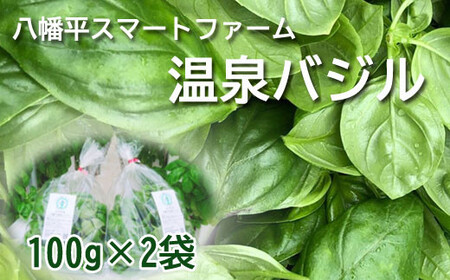 岩手県産 温泉バジル 100g×2袋 ／ バジル 生バジル 新鮮 生 薬味 ハーブ 国産 八幡平市産 イタリアン 産地直送 農家直送 常温発送 ピザ ピッツァ パスタ 100グラム×2袋 200g 200グラム オススメ おすすめ 八幡平スマートファーム