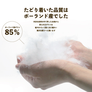 布団 夏用羽毛布団 サマーケット ダウンケット シングルロング｜布団 布団 布団 布団 布団 布団