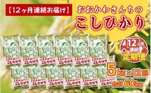 令和7年産 定期便 12ヶ月連続お届け おおかわさんちのコシヒカリ 5kg × 12回 計60kg こしひかり 白米 米 お米 5キロ 精米 ブランド米 ごはん ご飯 おいしい 人気 産地直送 国産 [L-10801]