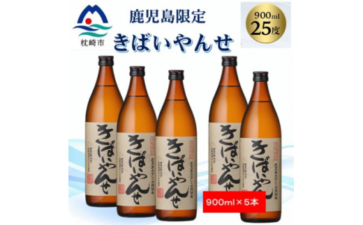 ＜本格焼酎＞きばいやんせ＜鹿児島限定＞ 900ml×5本 B2-6【1573823】