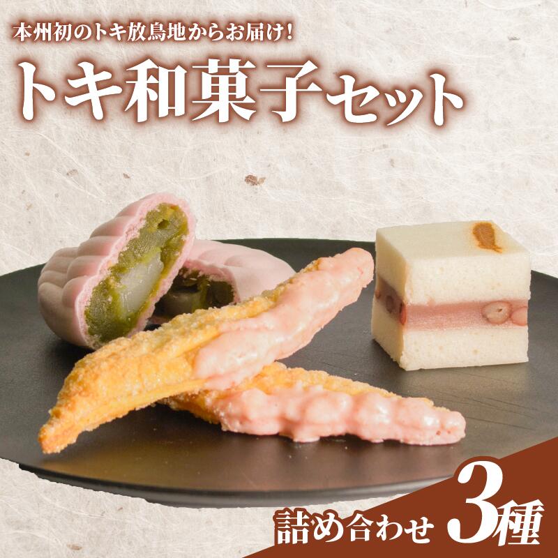 【ふるさと納税】 和菓子セット 詰め合わせ 3種 7個 最中 パイ 旨石 和菓子 菓子 お菓子 おかし もなか モナカ 求肥 羽二重 抹茶 まっちゃ 抹茶餡 羊羹 ようかん 和菓子詰め合わせ 贈答 贈り物 土産 石川 羽咋 トキ 朱鷺 とき 放鳥 の 地 能登 支援 応援