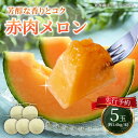 【ふるさと納税】【2025年8月以降順次発送】 赤肉メロン 約1.6kg×5玉 《喜茂別町》【Aコープようてい】 先行予約 数量限定 メロン 赤肉 フルーツ 果物 北海道 産地直送 北海道 北海道 [AJAK005] 27000 27000円