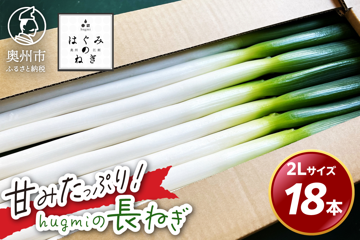 hugmiの長ねぎ 3kg 2Lサイズ 離島配送不可 [BJ012]