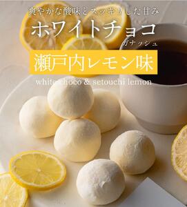 訳あり ショコリッシュ 480g 瀬戸内レモン 約19～21個入り ｜スイーツ スイーツ チョコレート チョコレート