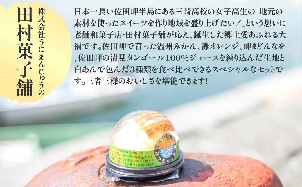 みっちゃん大福（温州みかん、灘オレンジ、岬まどんな）各種2個セット  IKTK004