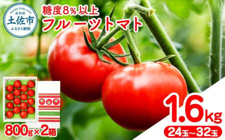 【先行予約】フルーツトマト 約1.6kg(約800g×2) 24~32玉入り 糖度 8度以上 〈2027年1月下旬から順次発送〉高知県 土佐市【ファーム輝】 [BQBM004]