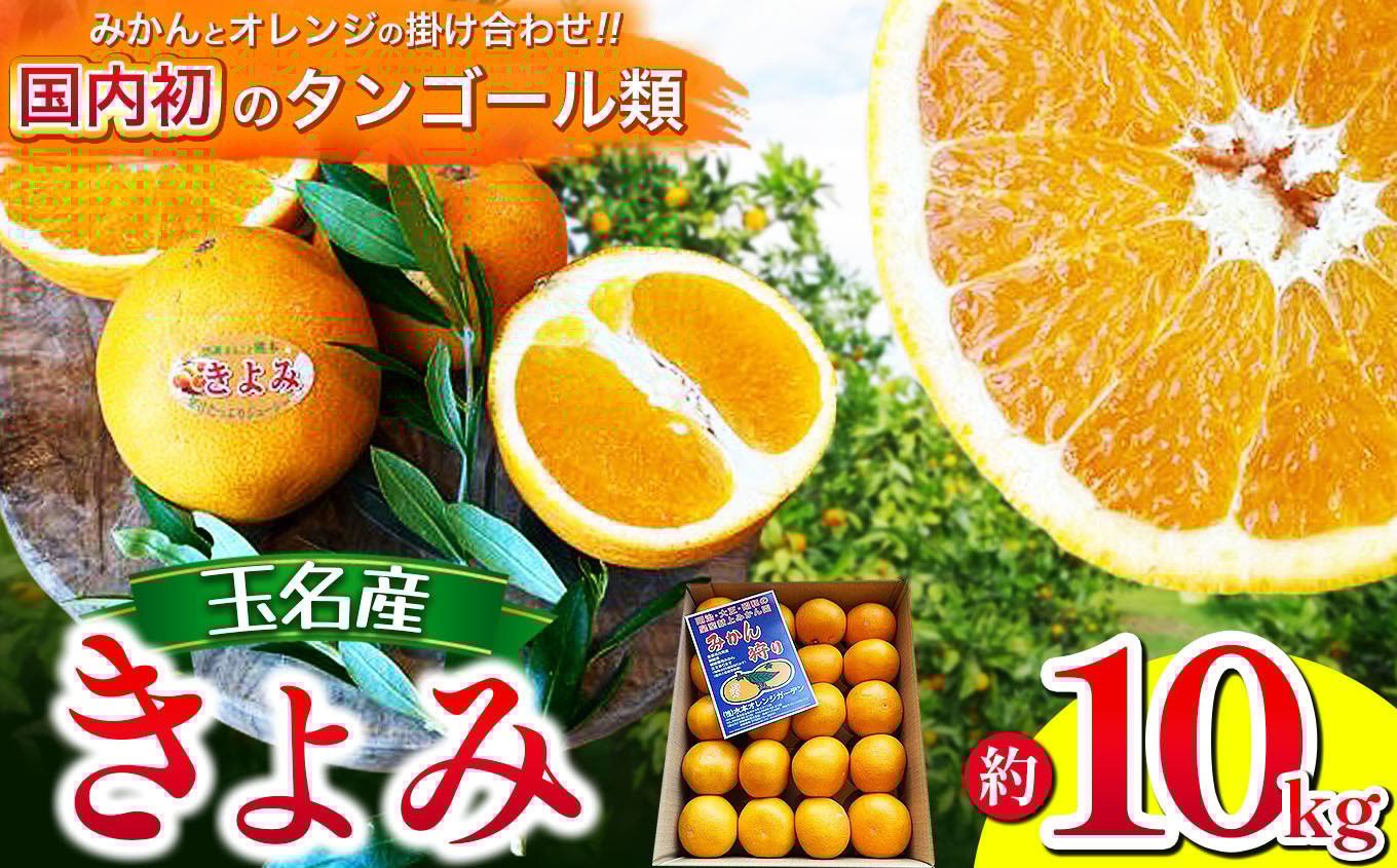 
            きよみ 熊本玉名産 10kg 水本オレンジガーデン | 果物 くだもの 柑橘 ミカン みかん オレンジ  熊本県 玉名市 
          