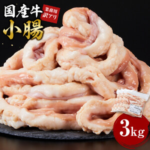《業務用・訳アリ》国産牛　小腸　3kg