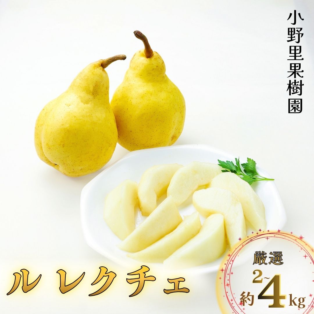 【ふるさと納税】先行予約 ル レクチェ 厳選 選べる容量 約2・3・4kg ル・レクチェ 新潟県産 洋梨 [小野里果樹園]