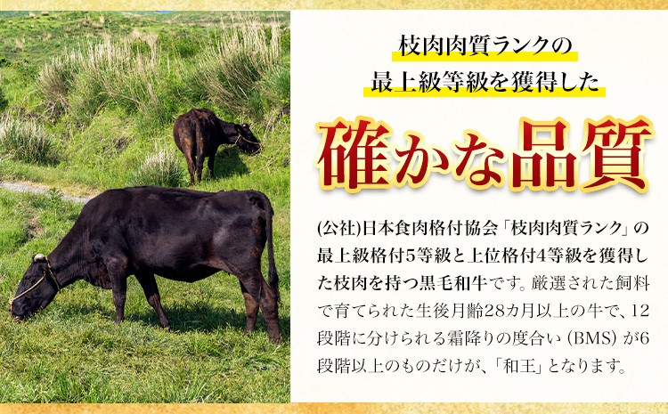 熊本県産 黒毛和牛 ロース すきやき用 400g 国産 牛肉 すき焼き