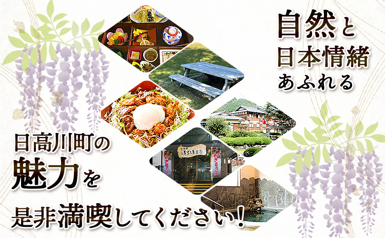 日高川町内の観光施設で利用できる「利用券」15,000円(500円券×30枚)　株式会社フラット・フィールド・オペレーションズ 日高川町事業所 (きのくに中津荘)《30日以内に出荷予定(土日祝除く)》