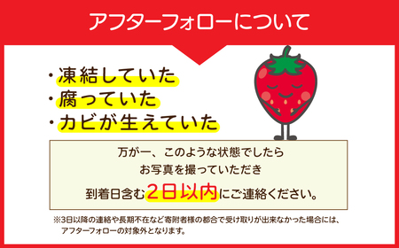 いちご【2月以降発送】朝採れとちおとめ 大粒 約270g × 4パック 合計 約1080g |イチゴ いちご