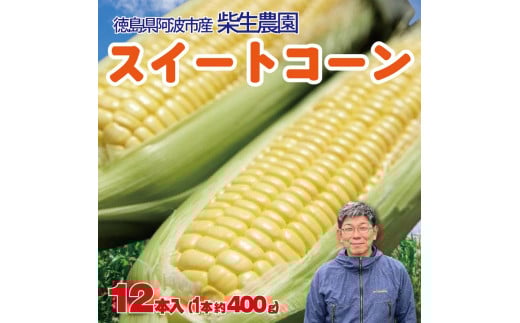 【 先行予約 】 とうもろこし スイートコーン 12本入り 1本 約400g 約5kg 品種 おおもの 《2025年6月～順次発送》 野菜 甘い 採れたて 産地直送 夏野菜 数量限定 朝採れ 農家直送 期間限定 新鮮 コーン 旬 サラダ 徳島県 阿波市