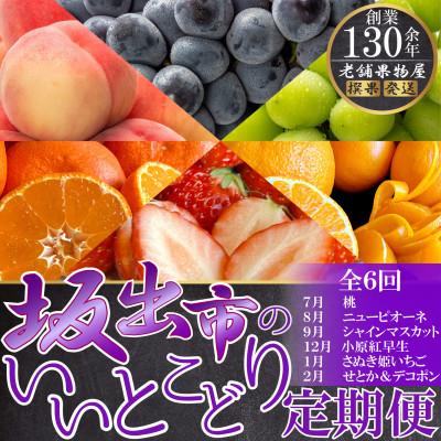 ふるさと納税 坂出市 【発送月固定定期便】坂出市のいいとこどり定期便(7月・8月・9月・12月・1月・2月)全6回