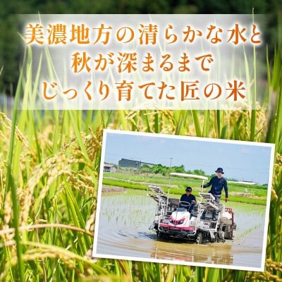 【毎月定期便】岐阜県産ハツシモ(精米) 10kg全5回【配送不可地域：離島】【4076386】