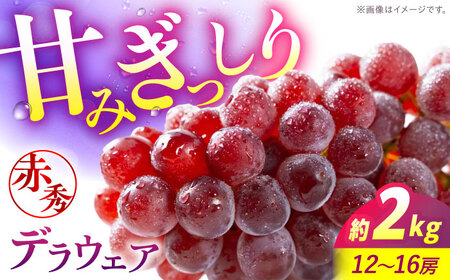 【先行予約】【8月上旬から8月中旬に順次発送】 ぶどう デラウェア 2kg 赤秀 露地[APCM010] ぶどう ぶどう ぶどう ぶどう ぶどう