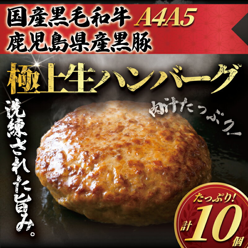 【ふるさと納税】 黒毛和牛ハンバーグ 鹿児島県産 黒豚 使用 10個 セット 和牛 A4 A5 ランク 惣菜 冷凍ハンバーグ 手作りハンバーグ Hamburg はんばーぐ 豚 牛 肉 ぶたにく ぎゅうにく ブランド牛 ブランド豚 肉汁 beef 人気 おかず 小分け 便利 簡単調理 神奈川 湘南 藤沢