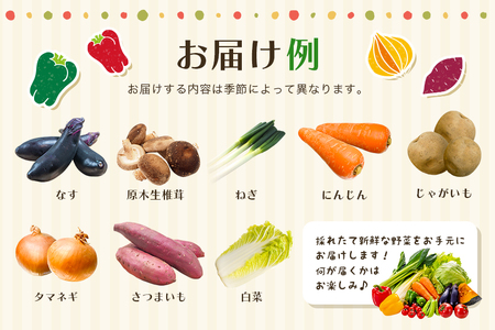 新鮮 奥久慈産 旬の野菜詰め合わせ 季節 セット 【野菜】【ho0871】