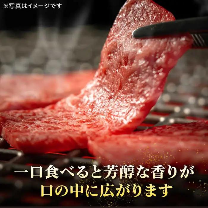 特選 壱岐牛 肩ロース 680g（焼肉）《壱岐市》【太陽商事】[JDL017] 肉 牛肉 和牛 BBQ 黒毛和牛 焼肉 41000 41000円