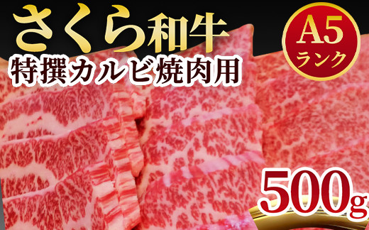 
A5さくら和牛特撰カルビ焼肉用500ｇ≪肉 焼肉 国産牛 グルメ≫
