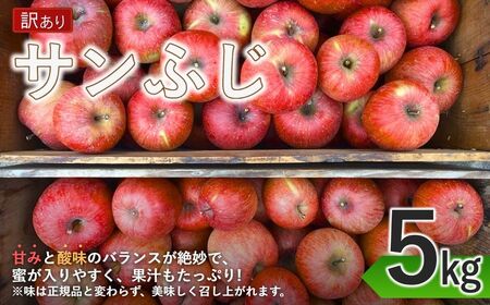 【2025年先行予約】サンふじ りんご 家庭用 約5kg｜ 千曲市産りんご 信州りんご 林檎 長野産りんご 美味しいリンゴ