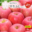 【ふるさと納税】【10月発送】（12.5度糖度保証）訳あり品弘前ふじ約10kg【弘前市産・青森りんご】　 果物類 美味しい 採れたて 選りすぐり 高糖度 12.5度 ご家庭用 甘さ 驚き 果汁 土壌 肥料 プレセント 　お届け：2024年10月1日～2024年10月31日