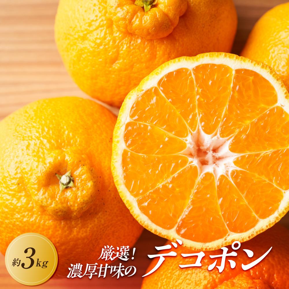 【ふるさと納税】【2026年3月上旬より順次発送】厳選！濃厚甘味の「不知火(しらぬい)」約3kg｜果物 くだもの フルーツ 柑橘 みかん 不知火 濃厚 甘い ミカン 人気 おすすめ 先行予約 香川 高松 | フルーツ 果物 くだもの 食品 人気 おすすめ 送料無料