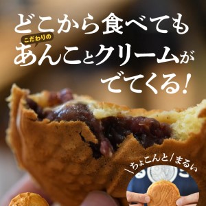 S092-001B_たい焼き「まるきん」12個入り